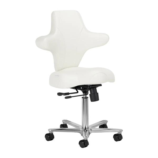 Arbeitsstuhl "Wanka" mit ergonomischer Rückenlehne